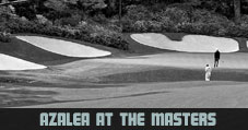 Azalea At The Masters